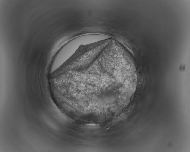 X0000091860053200710031709