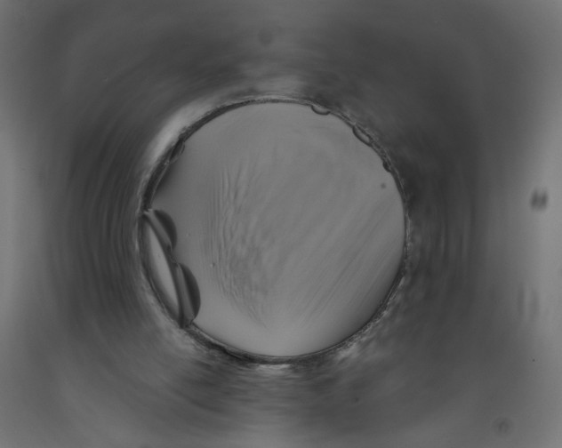 X0000091860054200710031709