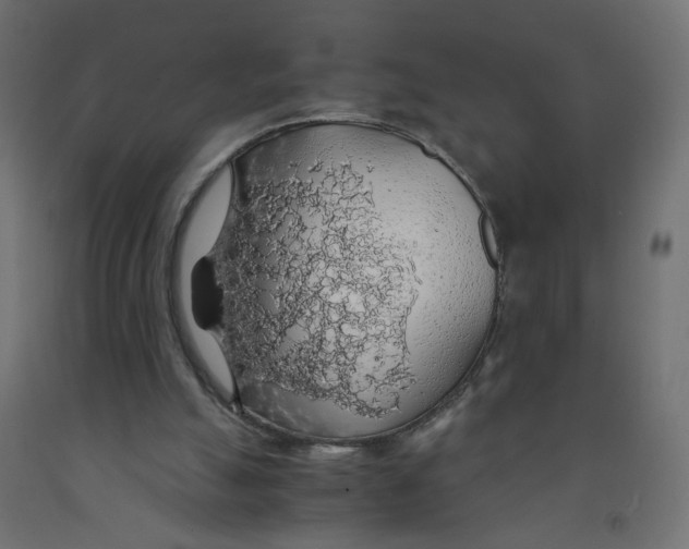 X0000091860055200710031709