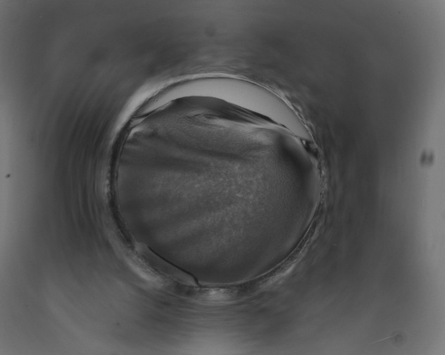 X0000091860056200710031709