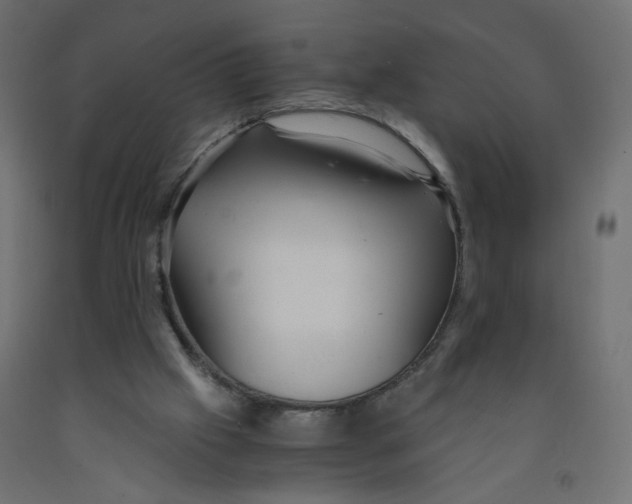 X0000091860057200710031709