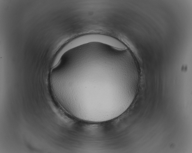 X0000091860058200710031709