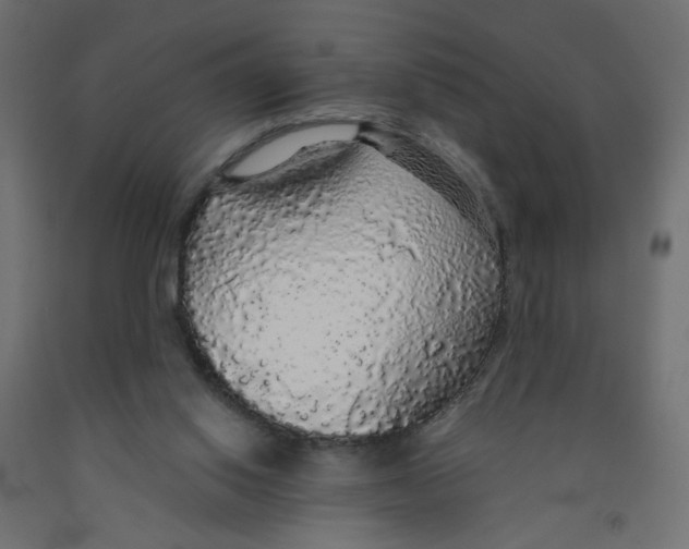 X0000091860062200710031709