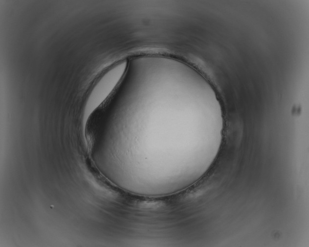 X0000091860063200710031709