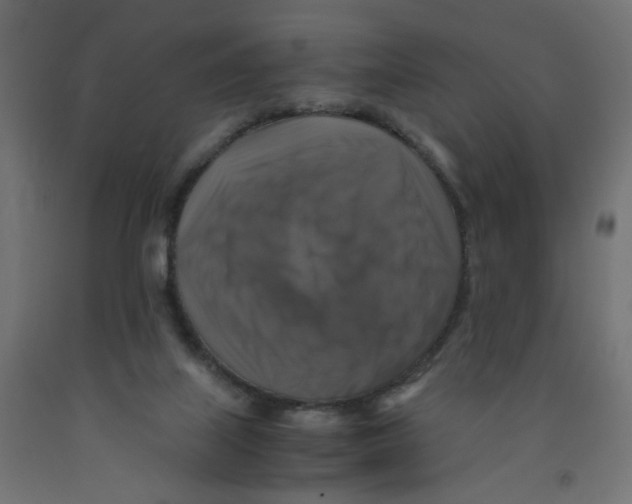 X0000091860067200710031710