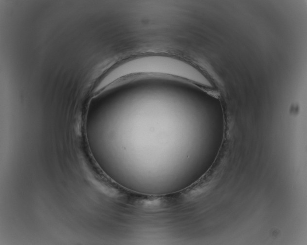 X0000091860068200710031710