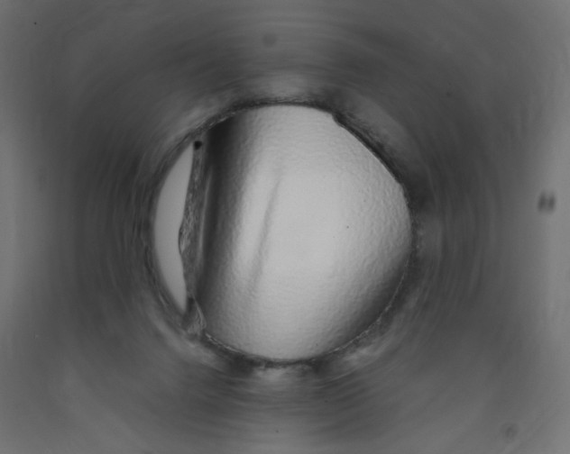 X0000091860072200710031710