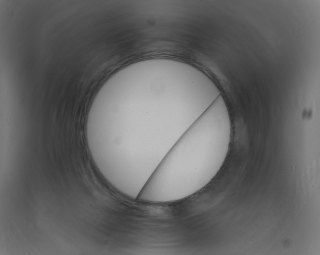 X0000091860073200710031710