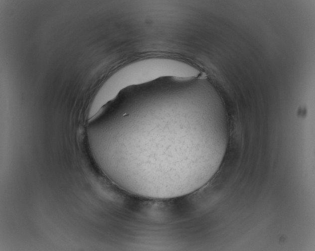 X0000091860074200710031710