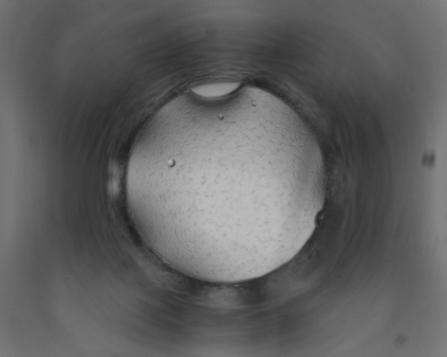 X0000091860075200710031710