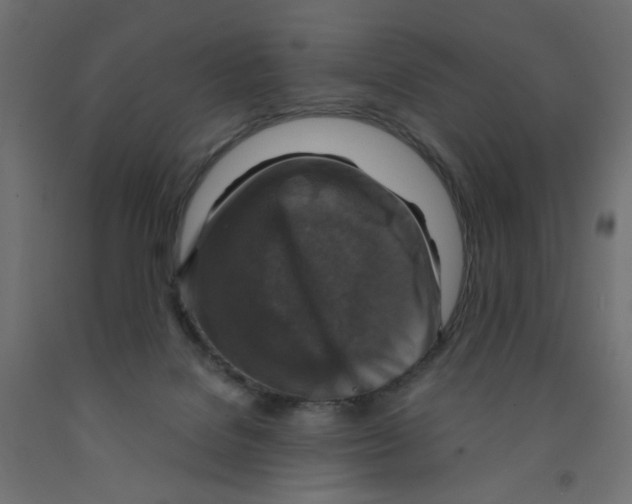 X0000091860076200710031710