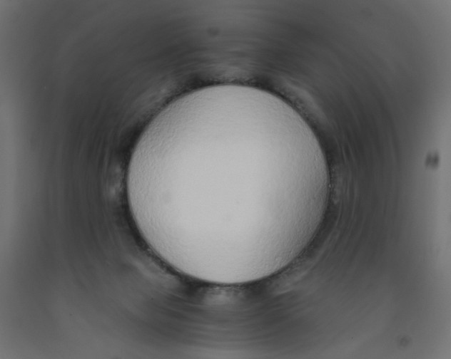 X0000091860077200710031710