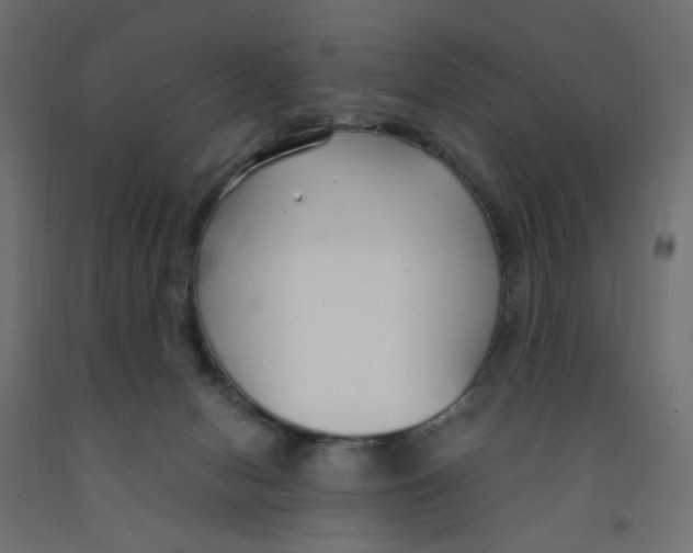 X0000091860078200710031710