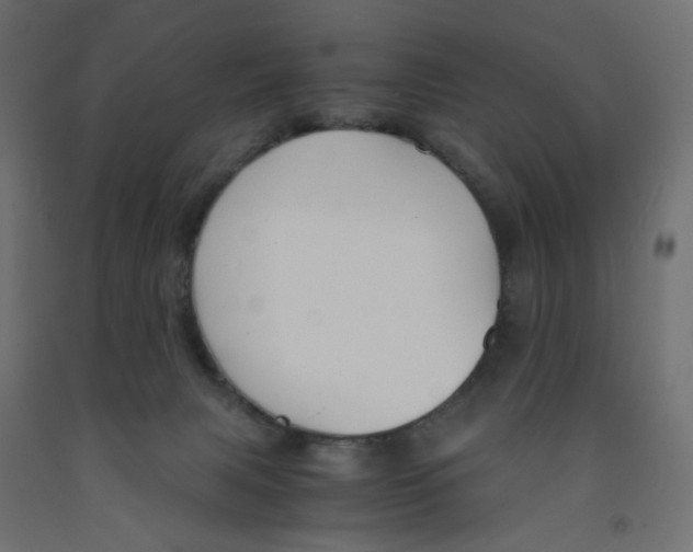 X0000091860079200710031710