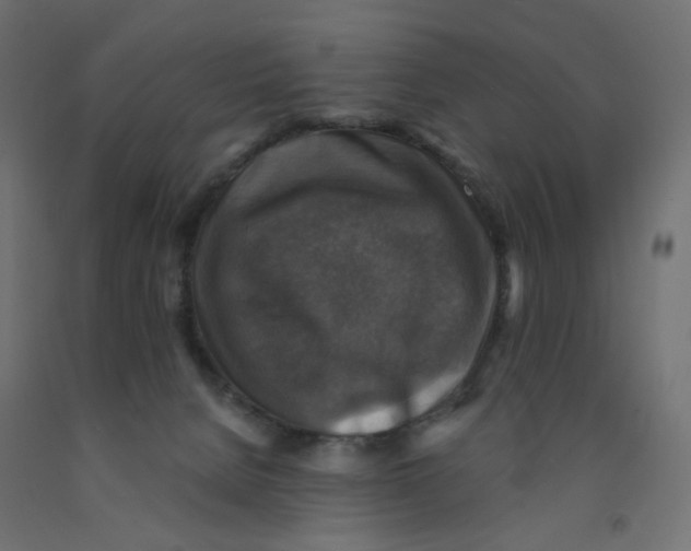 X0000091860080200710031710