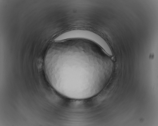 X0000091860081200710031710