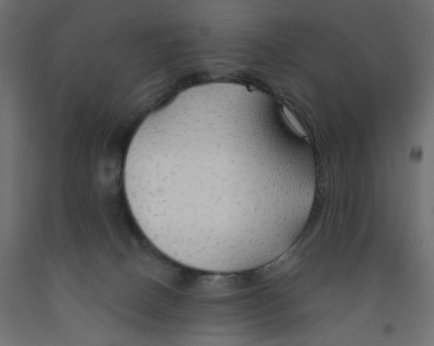 X0000091860082200710031710