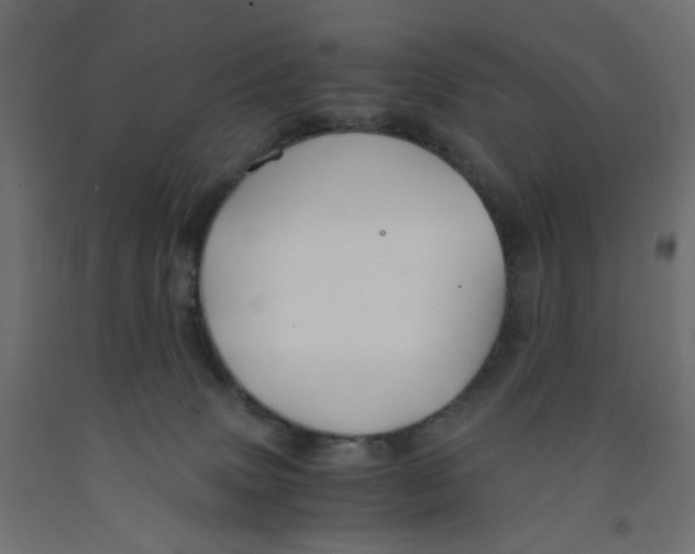 X0000091860083200710031710