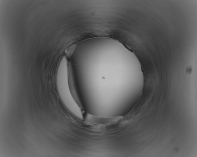 X0000091860084200710031710