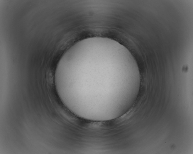 X0000091860086200710031710