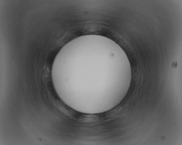 X0000091860087200710031710