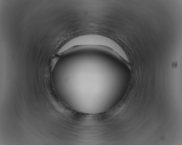 X0000091860088200710031710