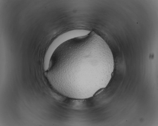 X0000091860089200710031710