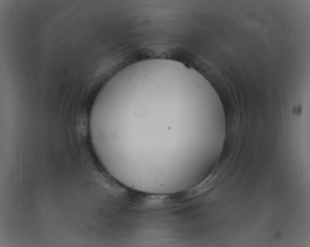 X0000091860090200710031710