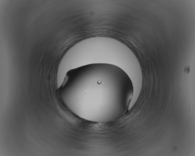 X0000091860092200710031710