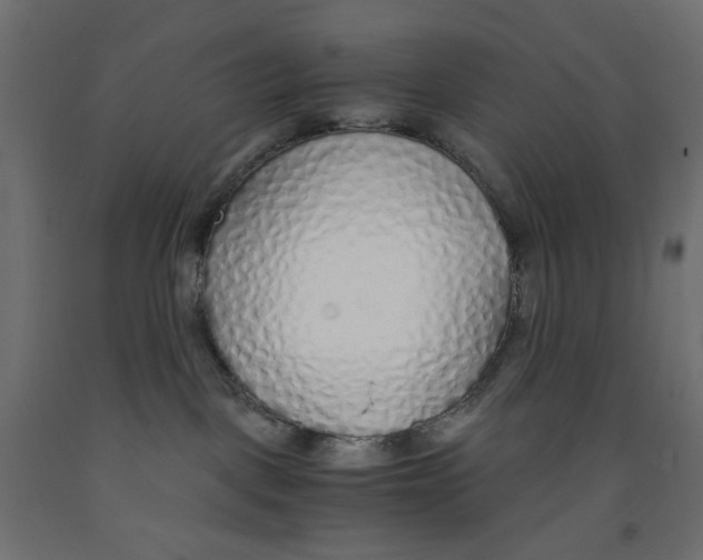 X0000091860093200710031710