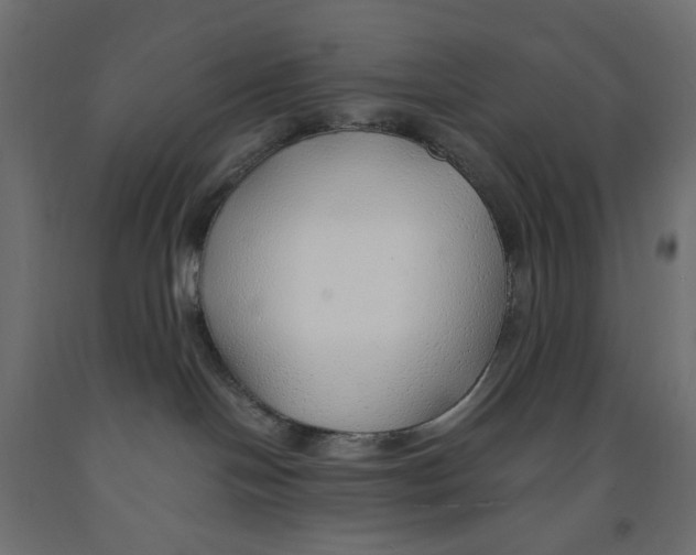 X0000091860094200710031710