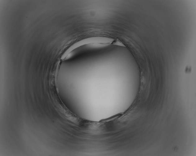 X0000091860096200710031710