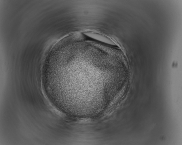 X0000091860097200710031709