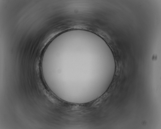 X0000091860098200710031709