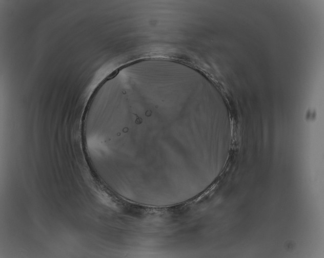 X0000091860099200710031709