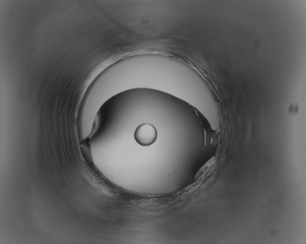 X0000091860100200710031709