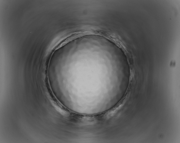 X0000091860101200710031709