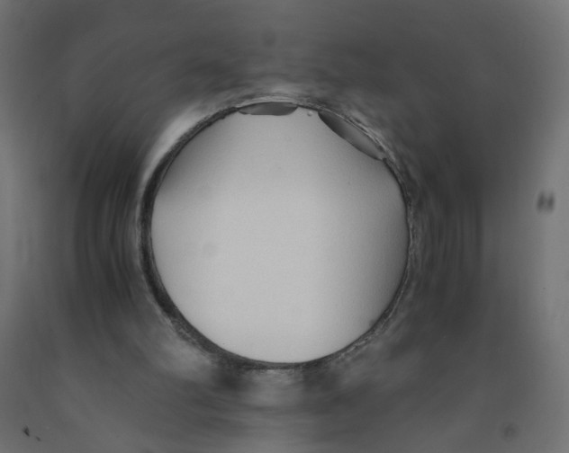 X0000091860102200710031709