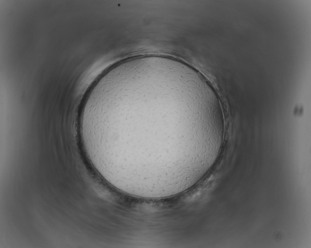 X0000091860103200710031709