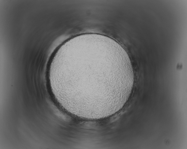 X0000091860104200710031709