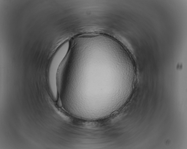 X0000091860105200710031709