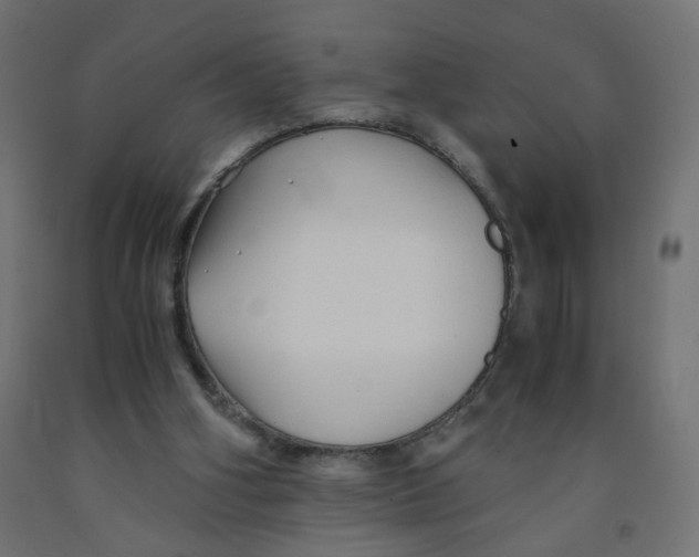 X0000091860106200710031709