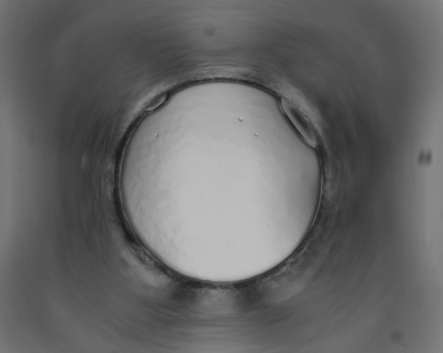 X0000091860107200710031709