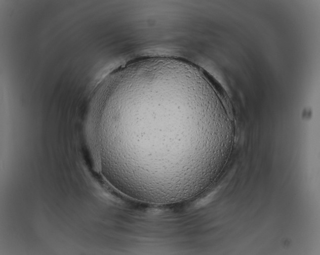 X0000091860109200710031709