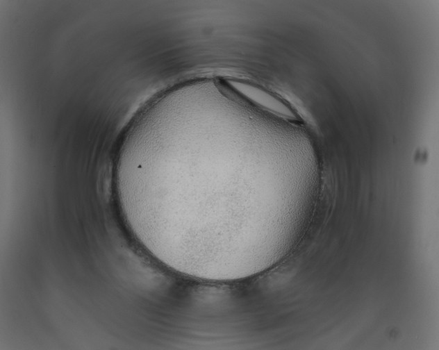 X0000091860110200710031709