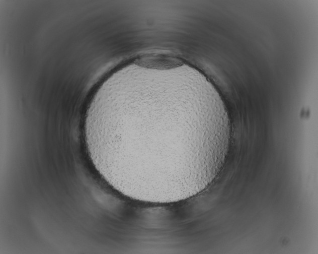 X0000091860112200710031709