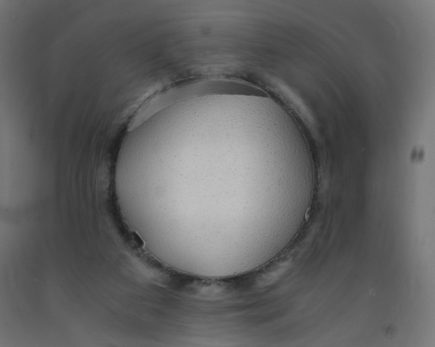 X0000091860113200710031709