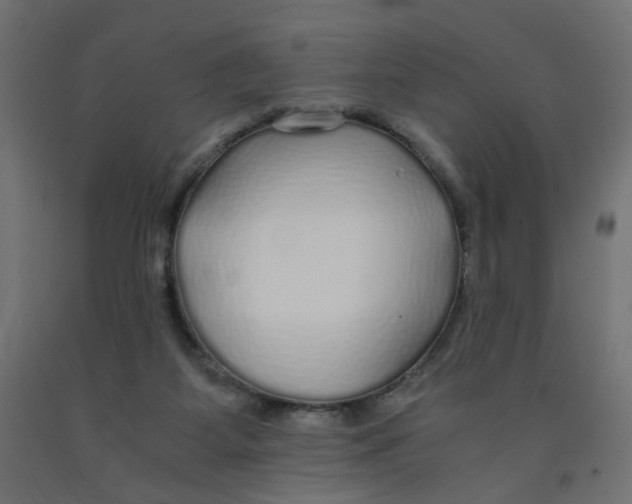 X0000091860115200710031709