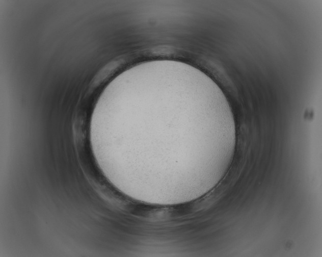 X0000091860116200710031709