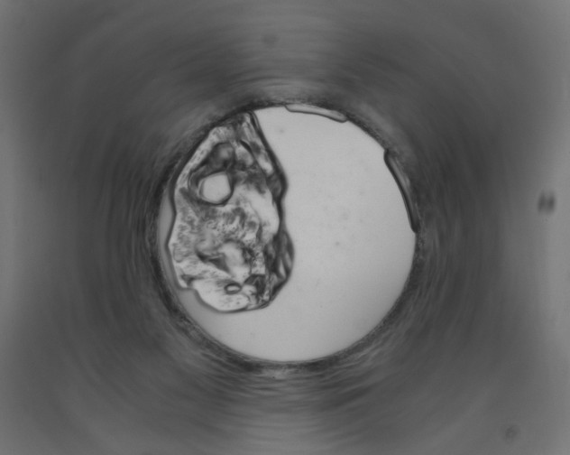 X0000091860117200710031709